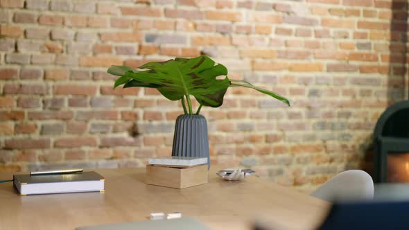 Green flower leaws at the office desk slide slow motion