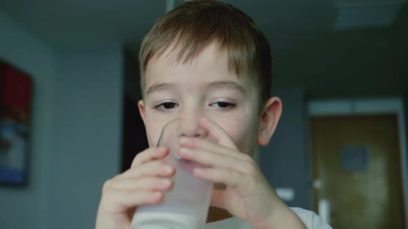 Cute Little Boy Child Drinking Milk