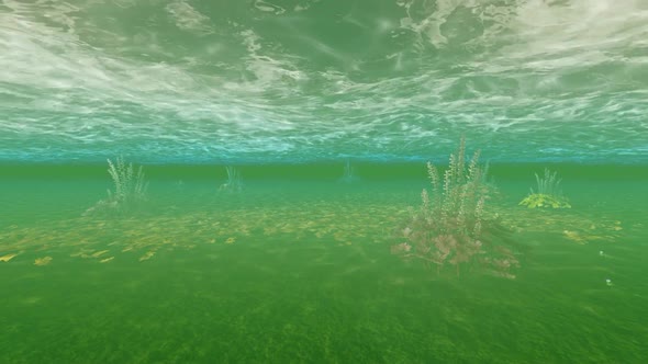 Under Water alt
