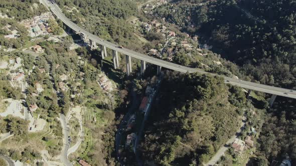 Bridge in the forest