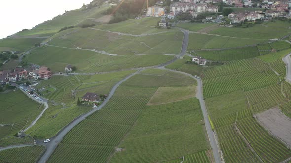 Tilt up from beautiful green fields to sun shining low over a idyllic mountain town