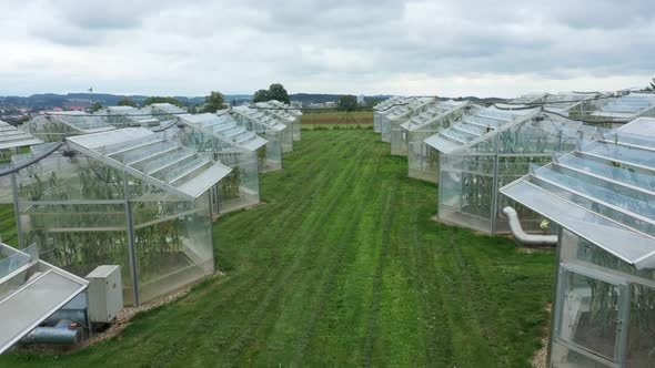 Greenhouse Science Research Open Top Chambers Climate Change Corn Maize Zea Mays Ear Drone Aerial