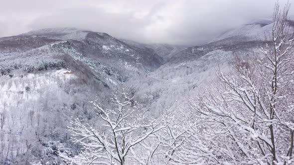 Snowy Mountains