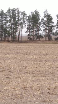 Vertical Video Empty Plowed Field in Autumn Aerial View