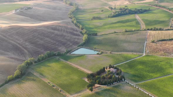 Drone flying over vineyards in Tuscany, Italy, Europe