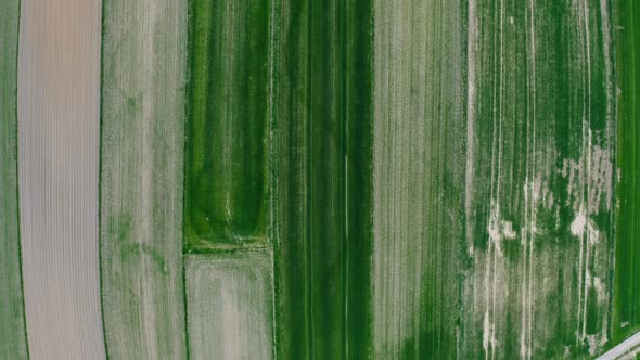 Top View Of Farmland