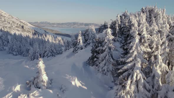 Drone Rising Above Frozen Forest Revealing Mountain Valley at Sunrise