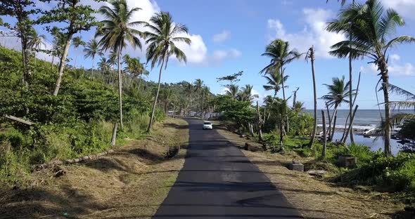 The Car Drives Along The Road Between Palm Trees In The Jungle Of Dominica
