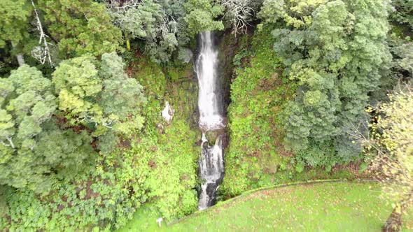 Small waterfall stream cascading down lush vegetation by the side of the road in Azores 4K