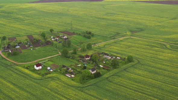 Top View of a Sown Green Field and a Small Village in Belarus