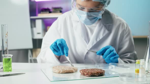 Medical Scientist Inspecting Minced Meat Wearing Protective Unform Working in Laboratory