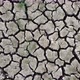 Drought Mudcracks - VideoHive Item for Sale