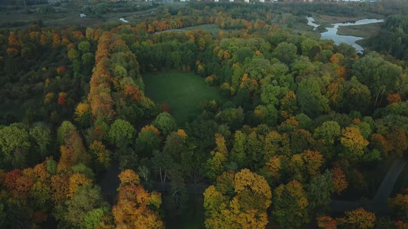 Flight over the autumn park. Trees with yellow autumn leaves are visible. Aerial photography.