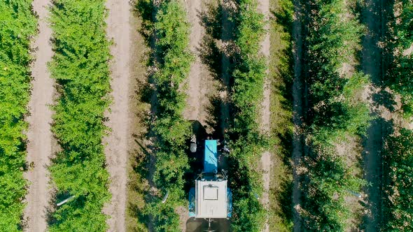 View From Above Fan Sprayer Applying Chemicals Apple Orchard