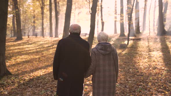 Senior Couple Walking on Leaves to Sun in Park