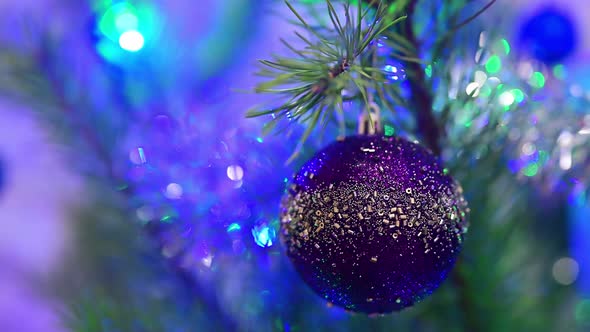 Christmas Tree Decorated with Blue Glass Ball on Christmas Spruce Branch on Background Bokeh of