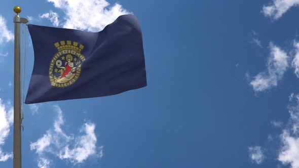 Oslo City Flag (Norway) On Flagpole