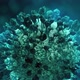 Fictional Image of Coronavirus Infection Looped 4 - VideoHive Item for Sale
