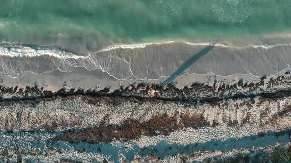 Paradisiacal Beach in the Caribbean Sea Taken By Sargasso Seaweed