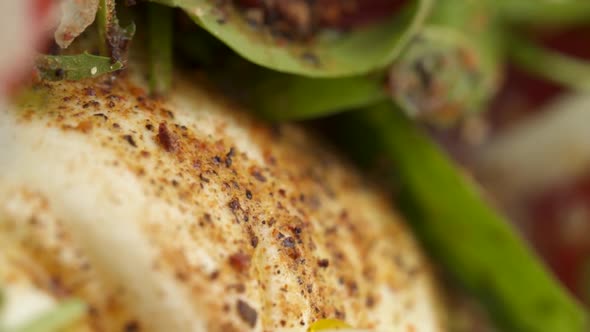 Vertical video: Mozzarella with salad in a plate