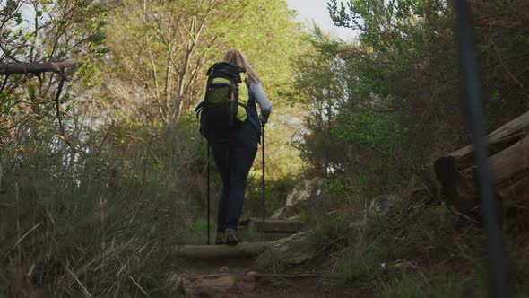 Active senior couple hiking in forest