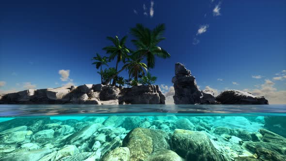 Split View Cross Section of Sea Water and Palm Trees on Island