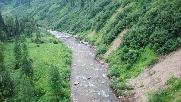 Drone View of Mountain River Surrounded Coniferous Forest.