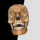3d Skull of Skeleton Laugh - VideoHive Item for Sale