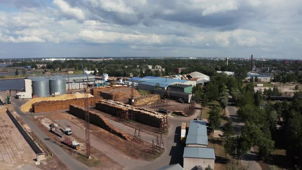 Warehouse of Felled Trees at the Factory