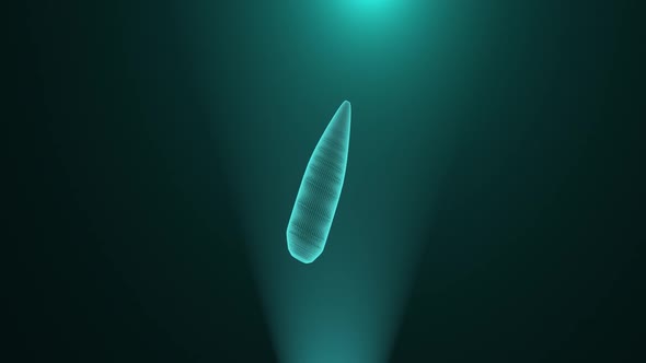 Digital Bullet Hud Hologram alt