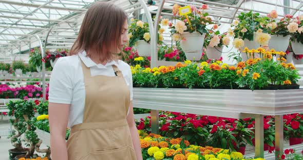 Female Florist Controlling Growth of Plants at Greenhouse