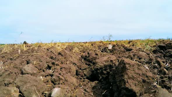 Moves Across the Field with a Plowed Land