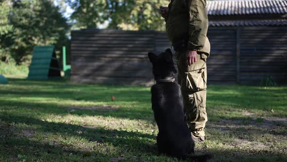 Back View Black Dog Sitting Looking Up at Unrecognizable Caucasian Man Holding Ball