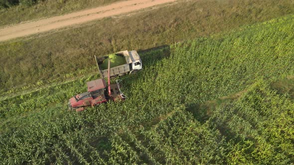 Aerial Harvesting Corn for Silage