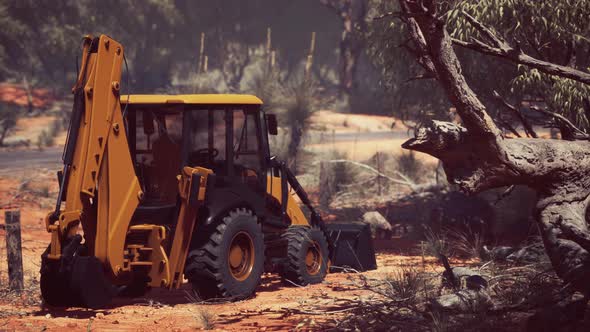 Excavator Tractor in Bush Forest