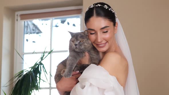 Beautiful and Cute Bride Hugs Her Gray Cat