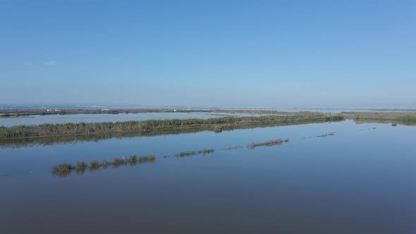 Beautiful Aerial Drone Forward Moving Video of Rows Agricultural Field and Water Irrigation