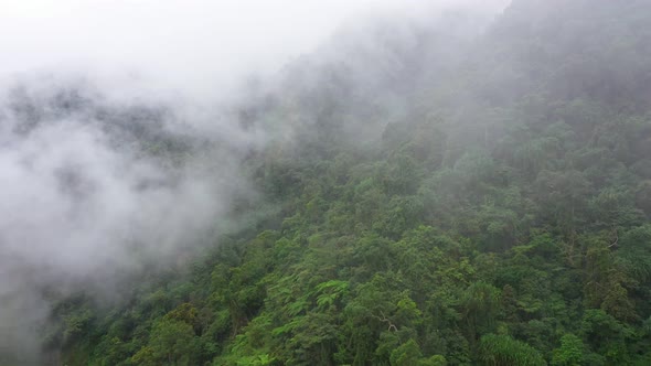 The Mountain Range is Covered with Evergreen Rain Forest