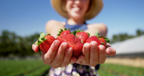 Girl holding strawberries in the farm 4k