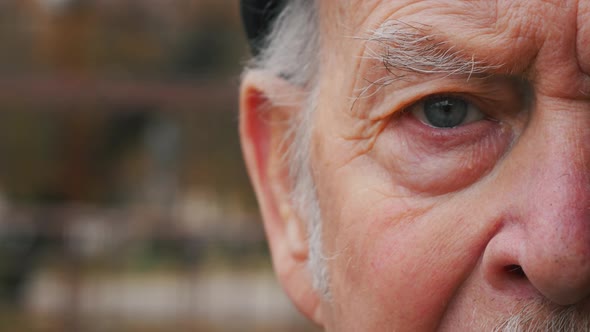 Highly detailed portrait of elderly senior staring at camera. Close-up cropped view of man eye.