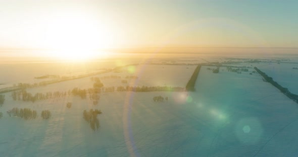 Aerial Drone View of Cold Winter Landscape with Arctic Field, Trees Covered with Frost Snow and