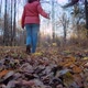 Woman and Terrier Walk in Forest - VideoHive Item for Sale