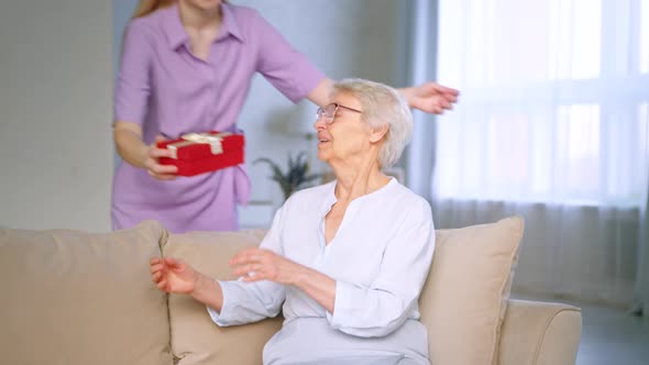 Smiling daughter giving a present to a happy elderly mother