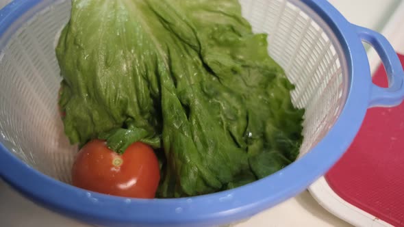 Washing The Salad