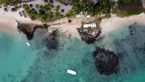 Aerial top down of epic sea shore with clear water and palm trees