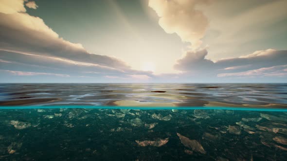 Underwater View with Horizon and Water Surface Split By Waterline