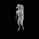 43 White Horse Dancing HD - VideoHive Item for Sale
