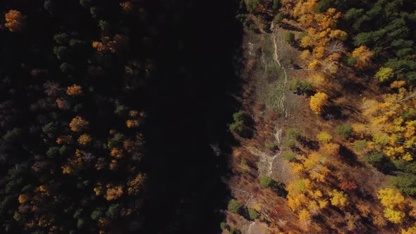 Aerial view of the Shiryaevsky ravine in the Samarskaya Luka national park.