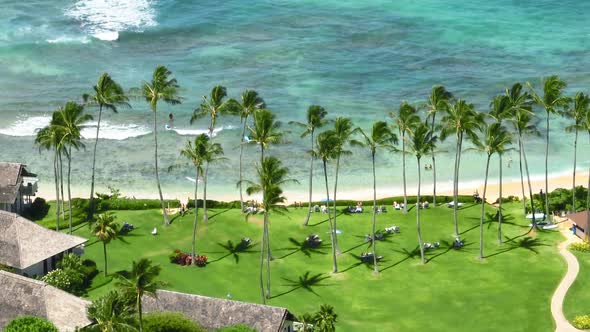 Tropical Resort on Paradise Island Landscape Beautiful Hawaii Palm Beach Aerial