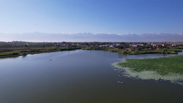 Relax on the SUP Boards Among the Lotuses in Pond